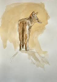 coyote watercolor - Google Search | Painting, Watercolor paintings, Coyote