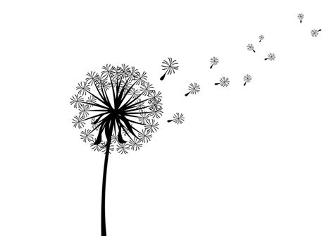 Scattered Dandelion Silhouette by superawesomevectors on DeviantArt