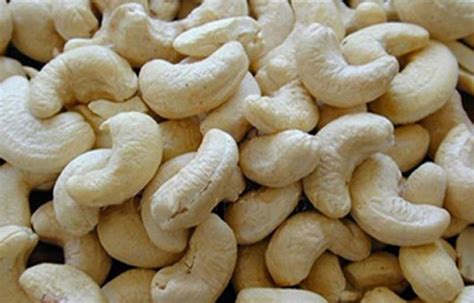 Cashew Kernels at Best Price in Delhi - ID: 1528600 | Indocom Traders