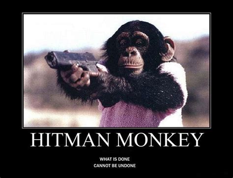 [Image - 64711] | Hitman Monkey | Know Your Meme