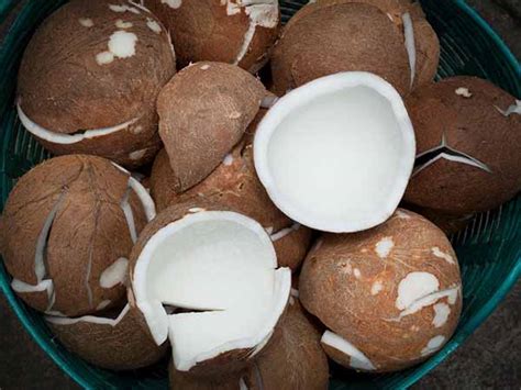 8 Health Benefits Of Dry Coconut - Boldsky.com