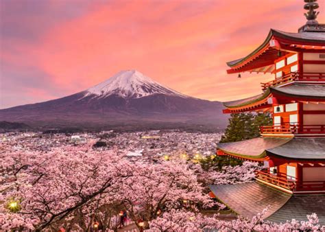 Japan Travel Tips: 9 Things I Wish I'd Known Before Going to Japan ...