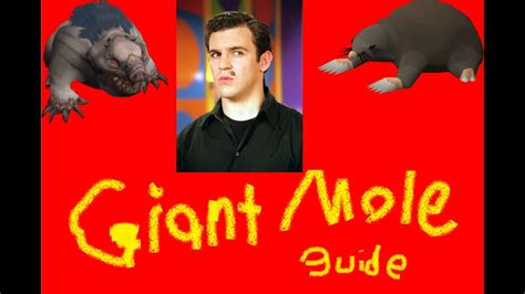 OSRS Giant Mole Pro Guide - YouTube