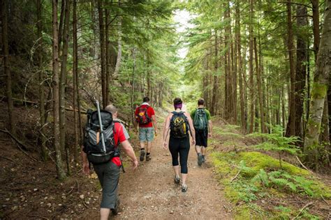 Scientific Evidence: 5 Powerful Ways Hiking Alters Your Brain