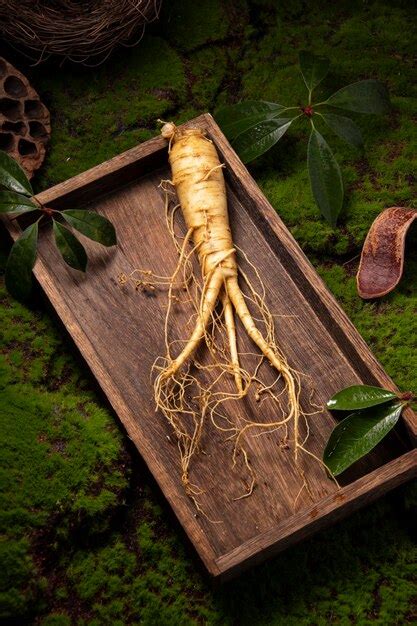 Premium Photo | Fresh ginseng root the amazing health benefits of ...