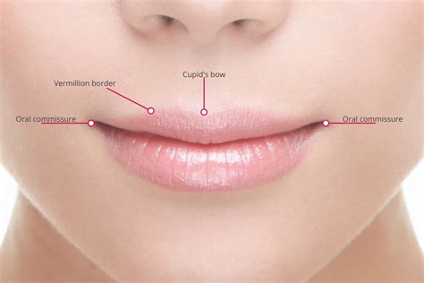 Downturned Mouth Treatment Options at Melior Clinics