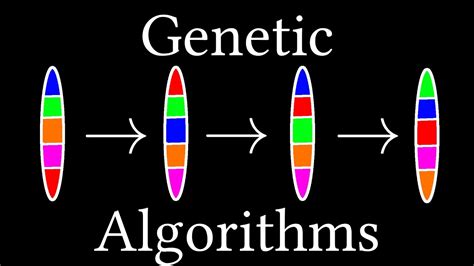 How algorithms evolve (Genetic Algorithms) - YouTube