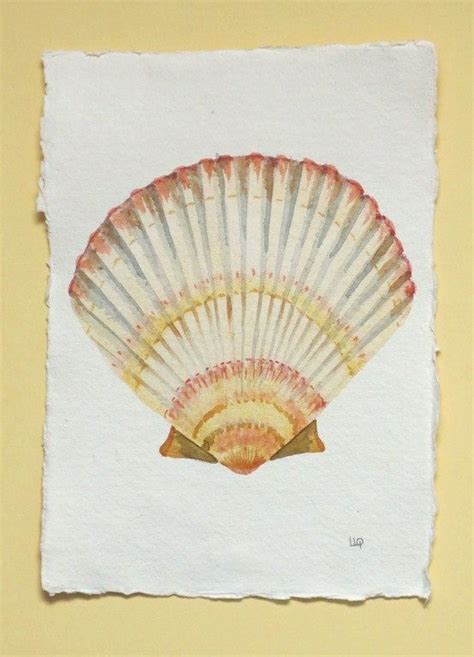 Scallop Shell Painting at PaintingValley.com | Explore collection of Scallop Shell Painting