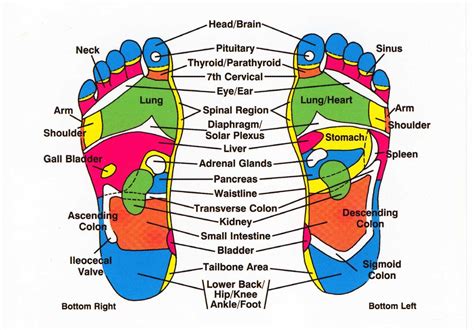 Complementary Therapy: Reflexology - Healing Touch Charlotte