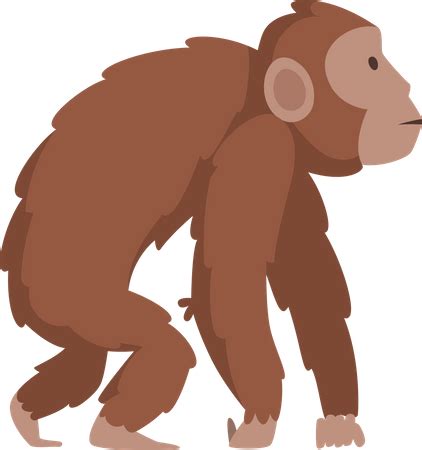 Biology Evolution Homo Sapiens Illustration Pack - 4 Free Download Culture & Religion ...