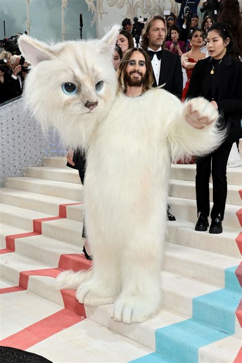 Jared Leto, Doja Cat honor Karl Lagerfeld's cat Choupette on Met Gala red carpet