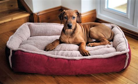 Large Padded Luxury Fleece Dog Bed by Wolfybeds in Winterberry Red (36 ...