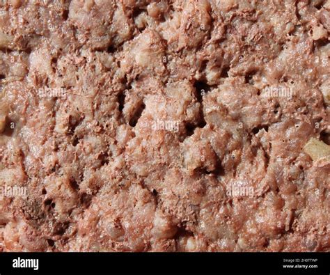 a close up grilled beef patty Stock Photo - Alamy