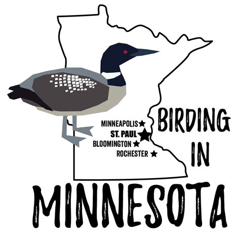 Birds in Minnesota - Bird Watching Academy