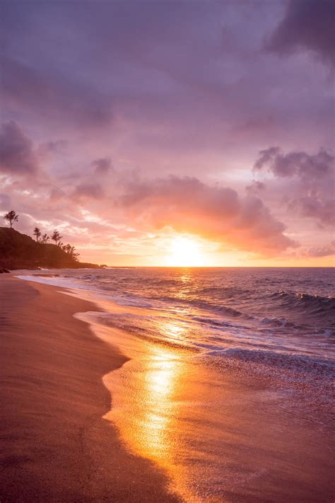 Download iPhone 7 Beach Underneath Pink Sky Wallpaper | Wallpapers.com