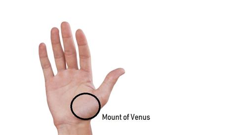 Mount of Venus Palmistry – Reading and Meaning