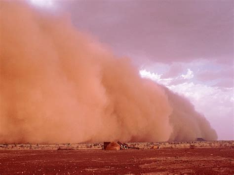Fighting wind erosion - French Scientific Committee on Desertification