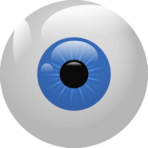 Eyeball clipart. Free download transparent .PNG | Creazilla