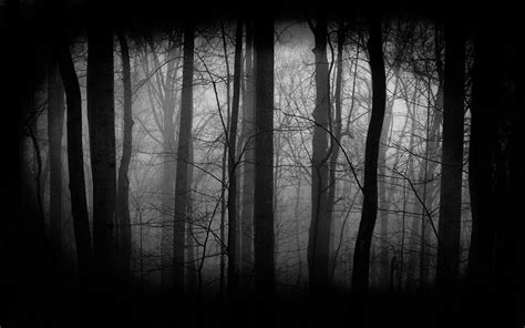 🔥 [30+] Dark Forest With Moon Wallpapers | WallpaperSafari