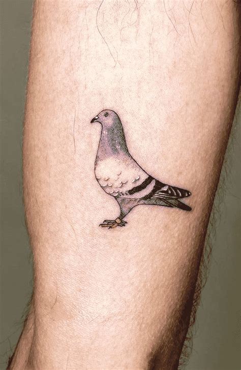 Pigeon Tattoo Design Images (Pigeon Ink Design Ideas) | Pigeon tattoo ...