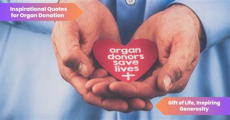 50 Inspirational Quotes For Organ Donation: Gift of Life, Inspiring Generosity - Lets Learn Slang