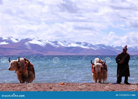 Tibet's Snow Mountains Editorial Stock Image - Image: 11272374