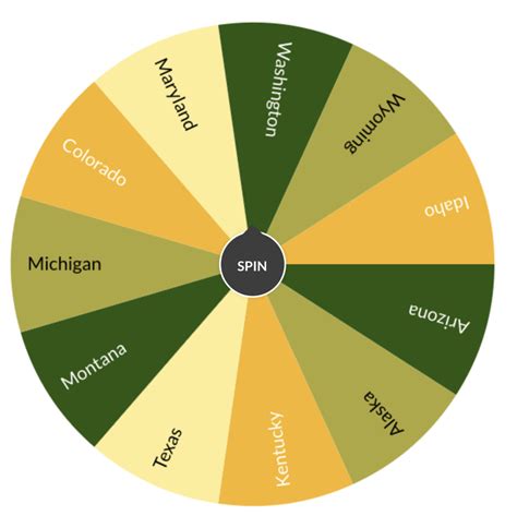 Color Wheel Spinner Online Tool