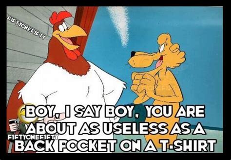 Pin by Priscilla Barton Robertson on Funnies | Foghorn leghorn, Funny cartoons, Foghorn leghorn ...