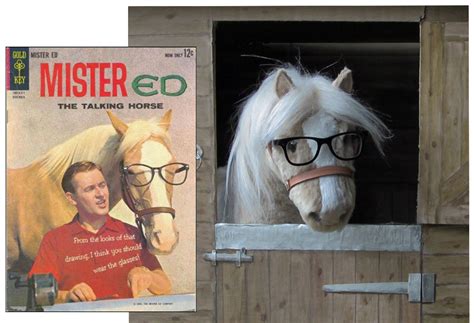 Mister Ed, the famous 'talking horse' from the American 1960s TV sitcom ...