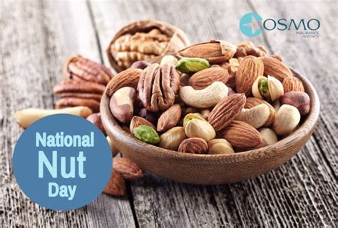 National Nut Day: Top 8 Health Benefits | Best NJ Insurance