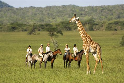 Horseback Safaris, riding safaris in Africa, safari lodges & riding ...