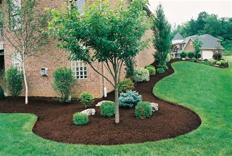 Mulch – Best Budget Tree Service