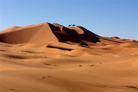 "SAHARA DUNES - MOROCCO" by Michael Sheridan | Redbubble