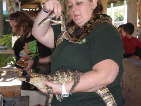 Snake and baby croc handler - Gatorland, Orlando, FL Gatorland Orlando ...