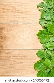 Natural Oak Wood Texture Green Leaves Stock Photo 140055472 | Shutterstock