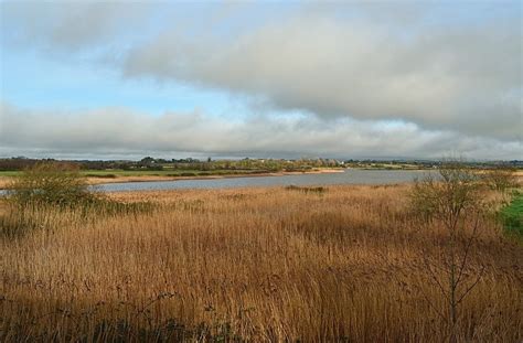 Wexford Wildfowl Nature Reserve, Co. Wexford, Ireland