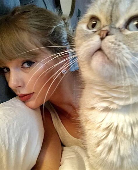 Taylor Swift Cats Benjamin Button | Newspaper