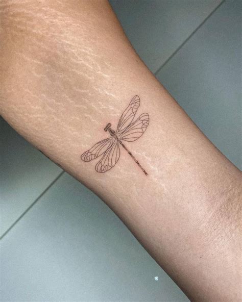 Fine line dragonfly tattoo done on the inner arm.