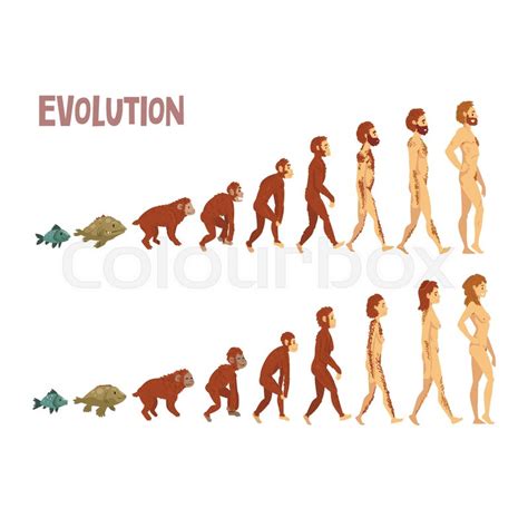 Evolution Drawing at PaintingValley.com | Explore collection of ...