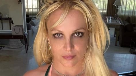 Britney Spears' fans worried as she reveals surprise new addition to family after husband Sam ...