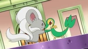 Pokémon Season 16 Episode 1 – Watch Pokemon Episodes Online – PokemonFire.com