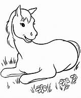 Free Printable Horse Coloring Pages For Kids sketch template