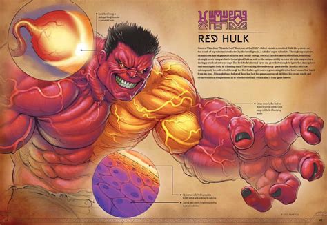 See Super Heroes in a New Light by Dissecting Their Physiology with ...