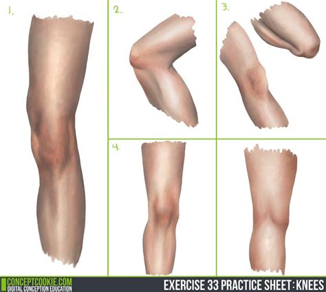 Knee Study - Daily Practice by Olooriel on DeviantArt | #knee #artptactice #artstudy #deviantart ...