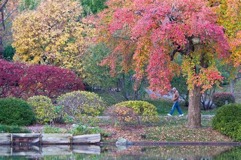 St Louis Energized Autumn In The Garden Missouri | St louis botanical garden, Missouri botanical ...