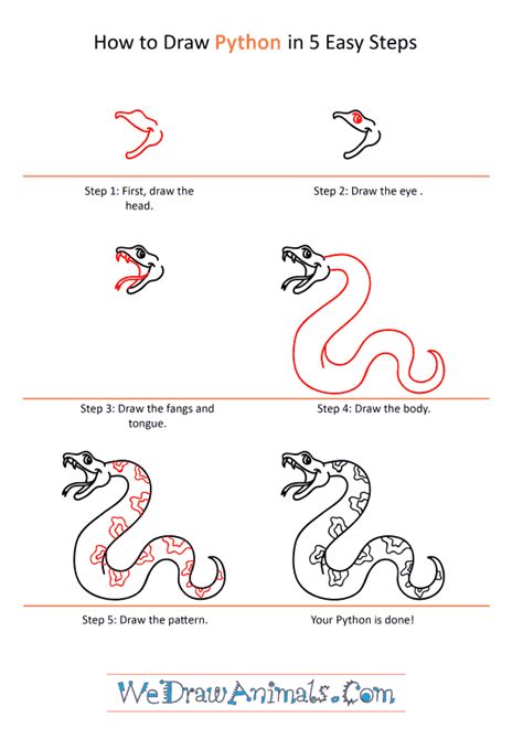 How to Draw a Cartoon Python