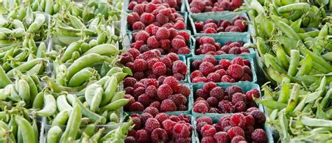 Farm Fresh Produce Free Stock Photo - Public Domain Pictures