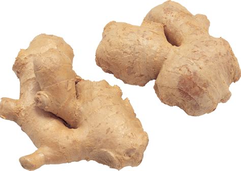 Ginger PNG