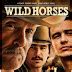Download Film Wild Horses (2015) Subtitle Indonesia - Petit Blog | Kumpulan Film Terbaru
