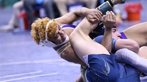 WNC high school wrestling: State championship results